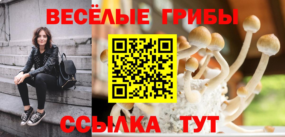Псилоцибиновые грибы прущие грибы  Вход с VPN  Балашиха  Псилоцибиновые грибы прущие грибы 